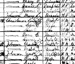 1900 Omaha Census