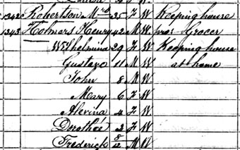 Detail from the 1870 census.