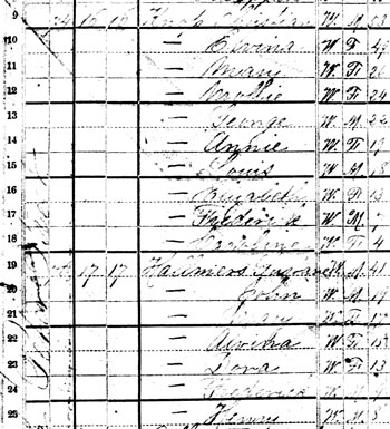 Detail from 1880 census.