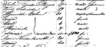 Detail from passenger list of ship America.