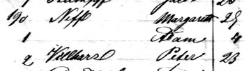 Detail from passenger list of ship Mortimer Livingston.