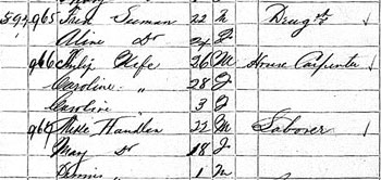 Detail from 1860 federal census.