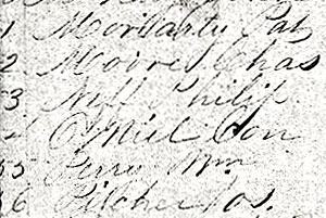 Detail from Civil War muster roll.