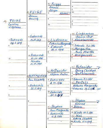 One of three pedigree charts from Max Naumann.