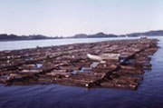 Towboat pushing a log raft